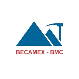 Logo BMJ