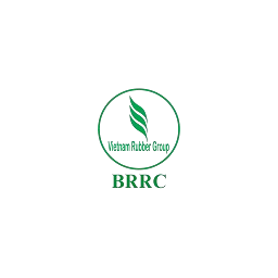 Logo BRR