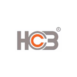 Logo CSV