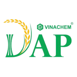 Logo DDV
