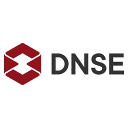 Logo DSE