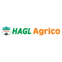 Logo HNG
