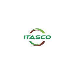 Logo ITS