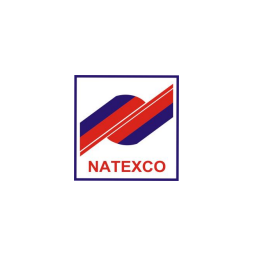 Logo NDT