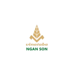 Logo NST