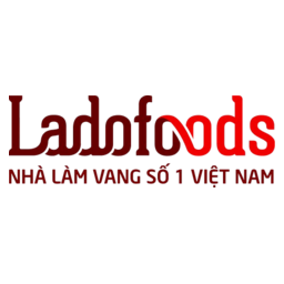 Logo VDL