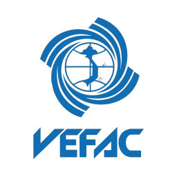 Logo VEF