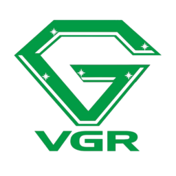 Logo VGR