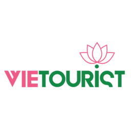 Logo VTD