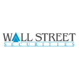 Logo WSS